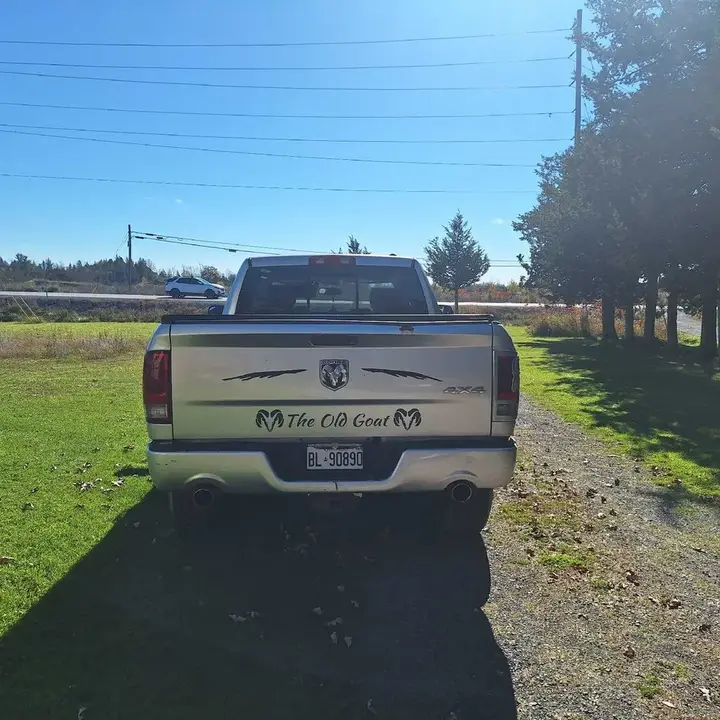 Dodge Ram 1500 2010 photo 4