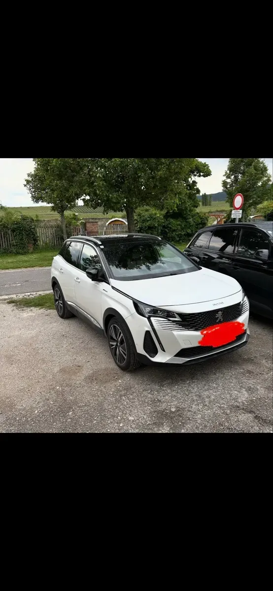 Peugeot 3008 2021 photo 2