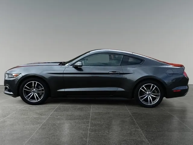 Ford Mustang Fastback 2017 photo 4