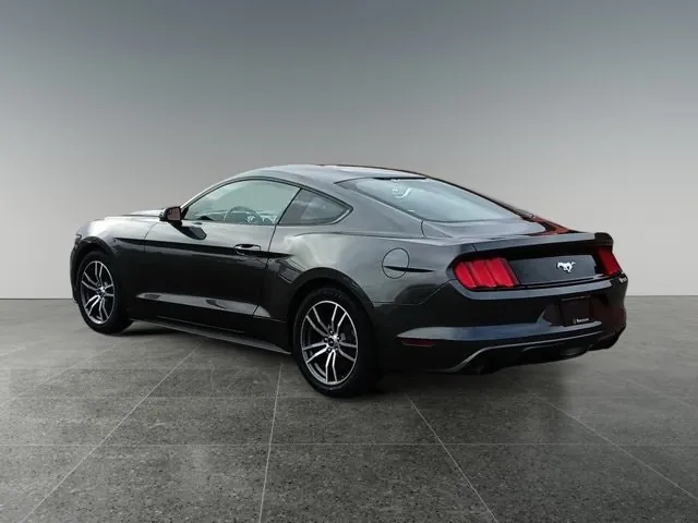 Ford Mustang Fastback 2017 photo 2