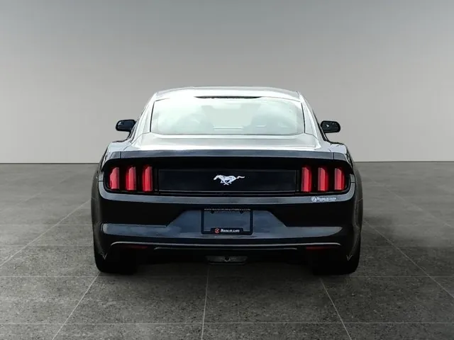 Ford Mustang Fastback 2017 photo 5