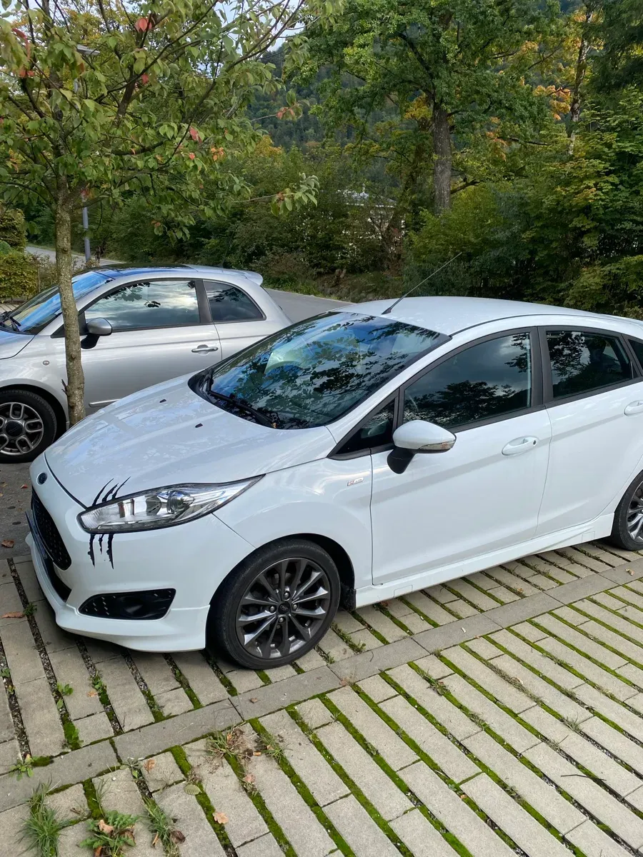 Ford Fiesta 2017 photo 2