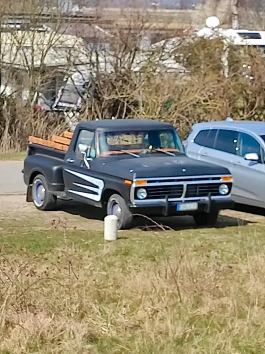 Ford F-100