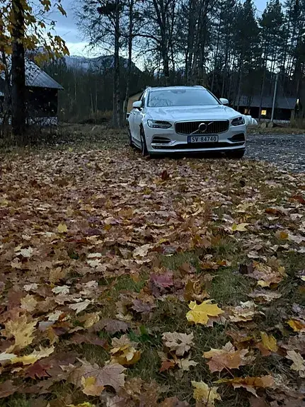 Volvo V90 2017 photo 5