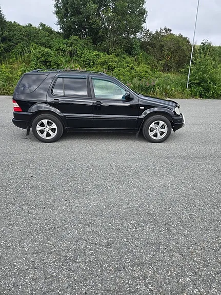 Mercedes-Benz Ml320 2001 photo 3