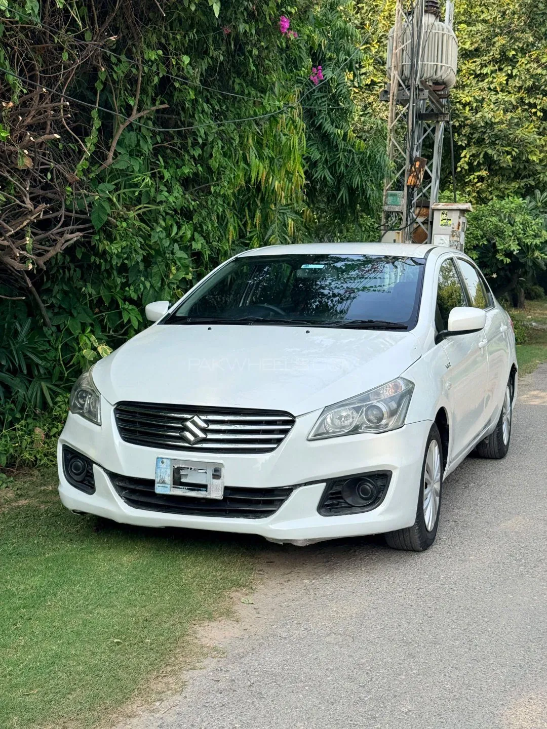 Suzuki Ciaz