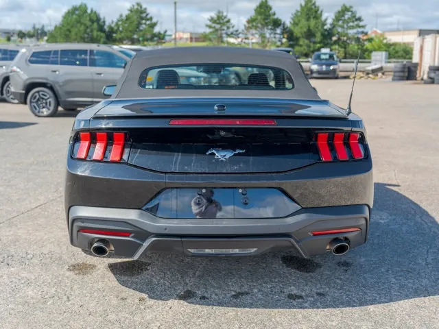 Ford Mustang 2025 photo 4