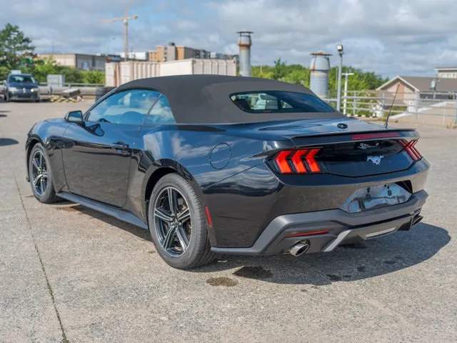 Ford Mustang 2025 photo 3