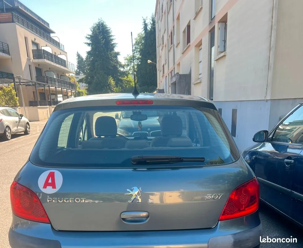 Peugeot 307 2005 photo 2