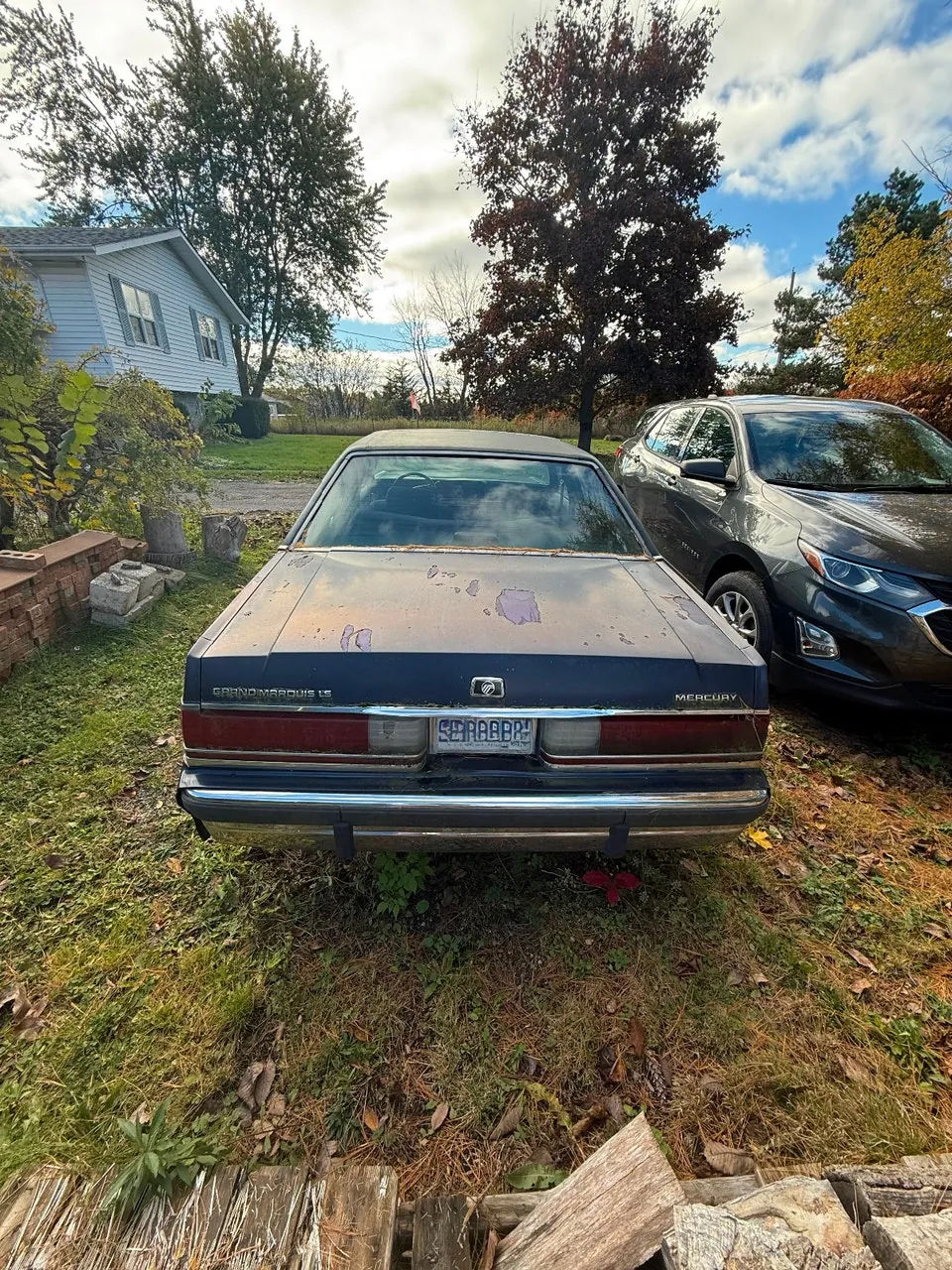 Ford Grand Marquis 1991 photo 2