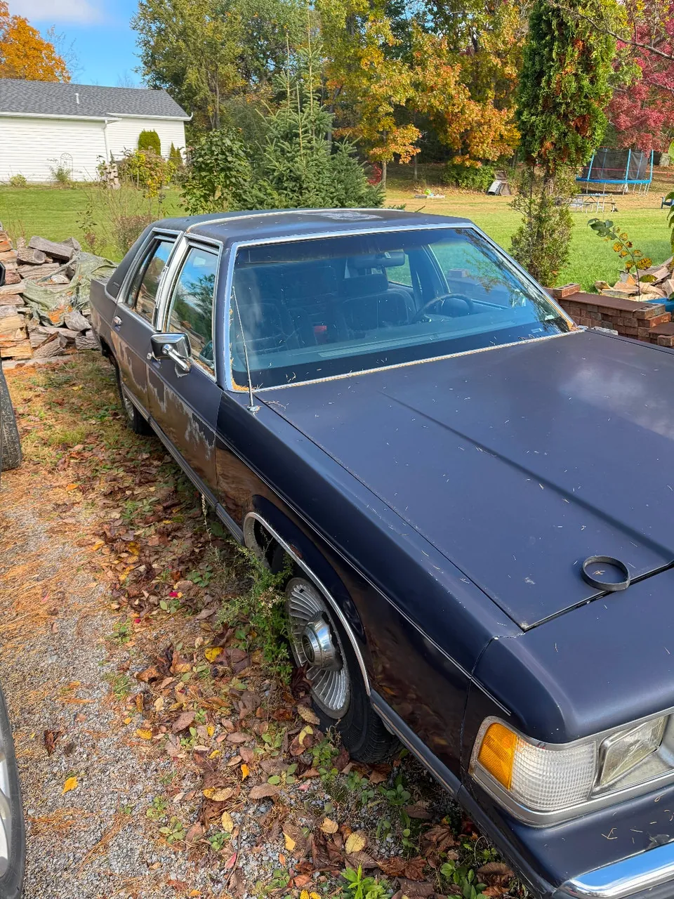 Ford Grand Marquis 1991 photo 4