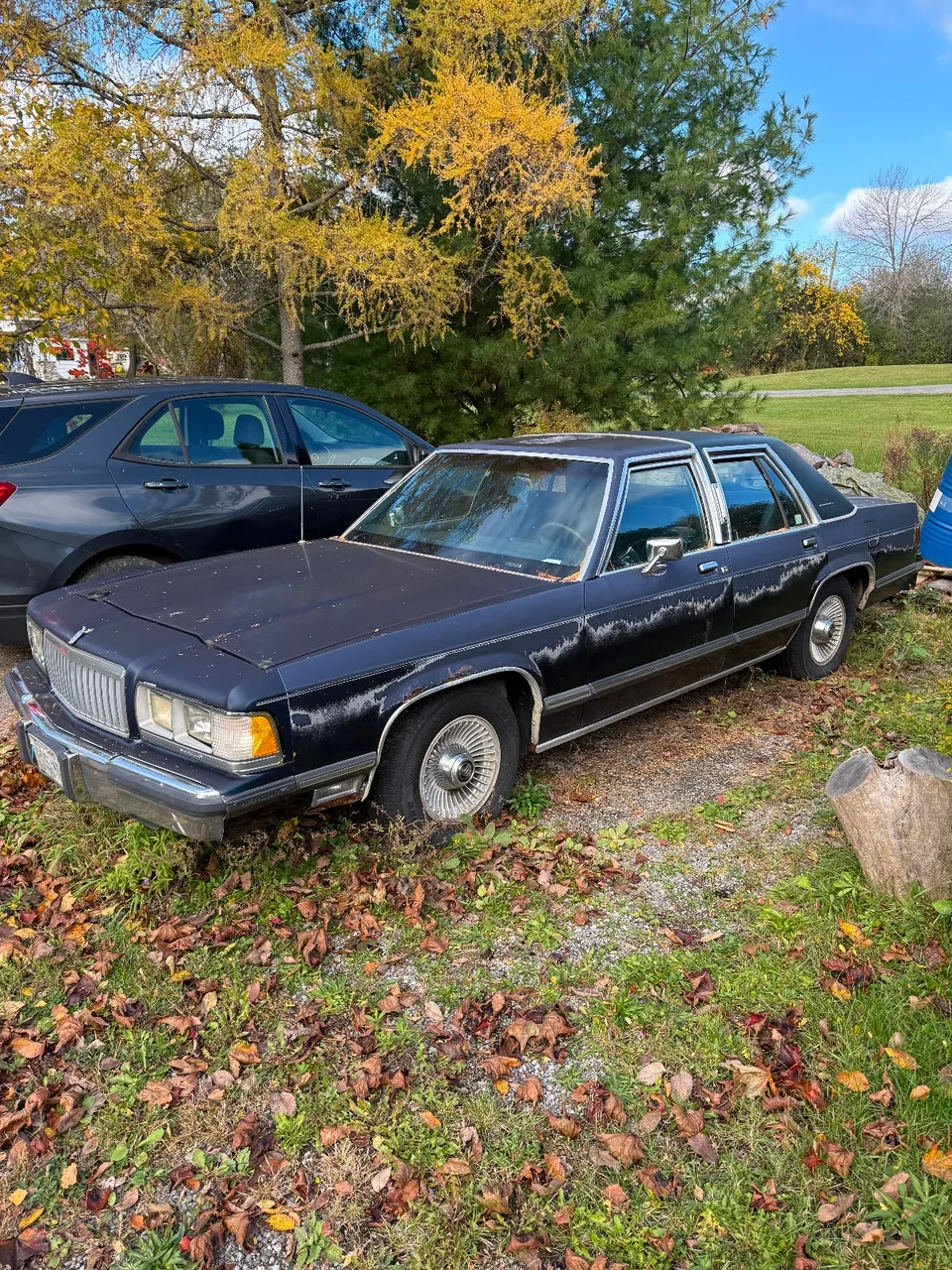 Ford Grand Marquis 1991 photo 3