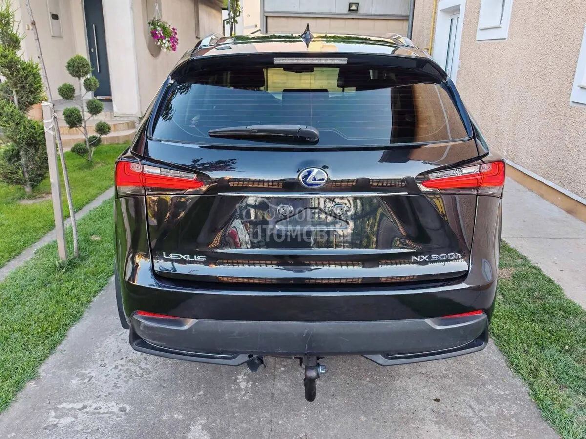 Lexus Nx 2017 photo 3
