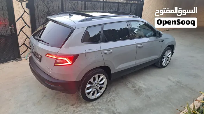 Skoda Karoq 2019 photo 3