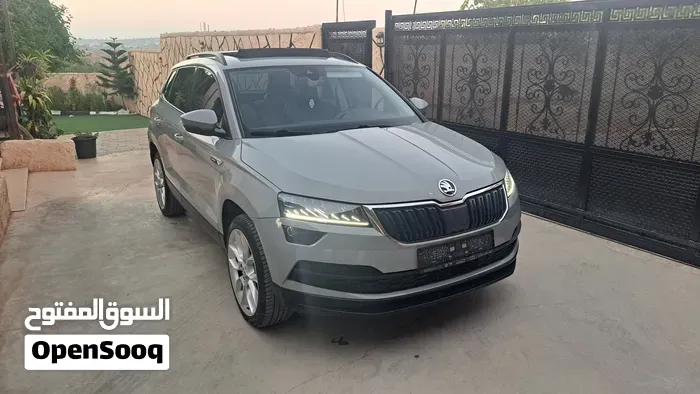 Skoda Karoq 2019 photo 4