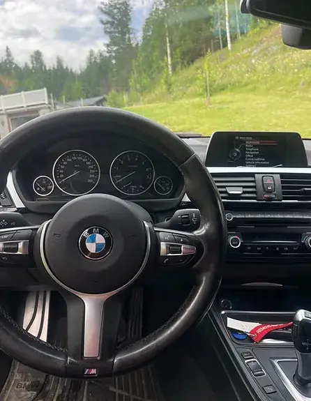 BMW 316I 2014 photo 3