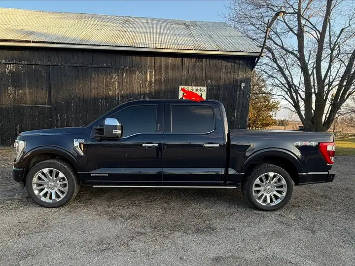 Ford F-150 2021 photo 4