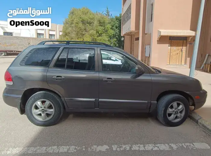 Hyundai Santa Fe 2005 photo 2
