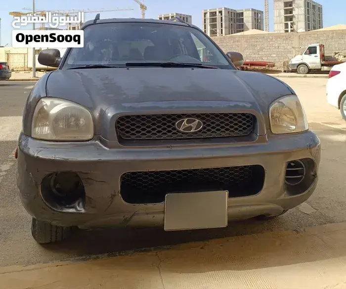 Hyundai Santa Fe 2005 photo 3