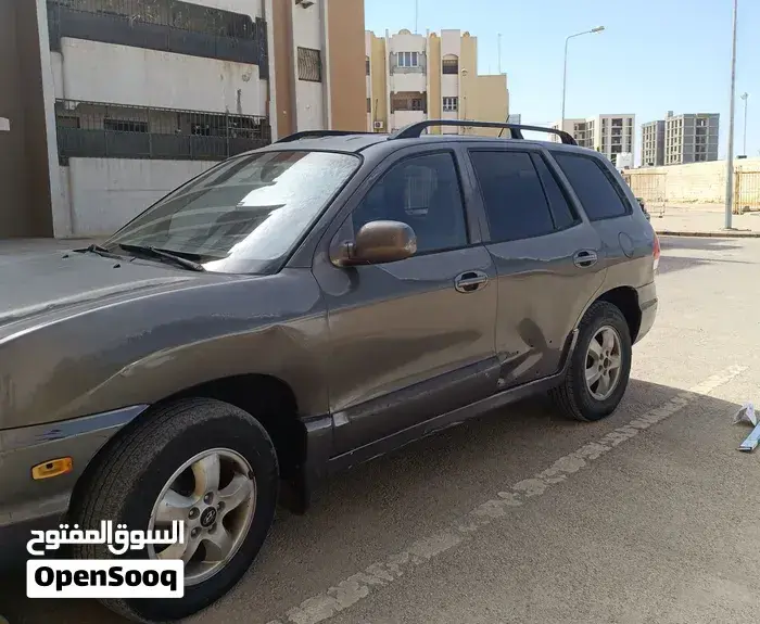 Hyundai Santa Fe 2005 photo 4