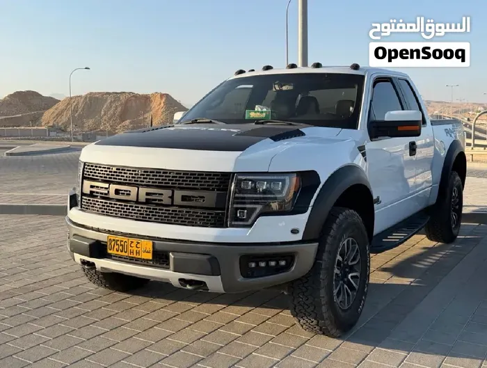 Ford F-150 2011 photo 5