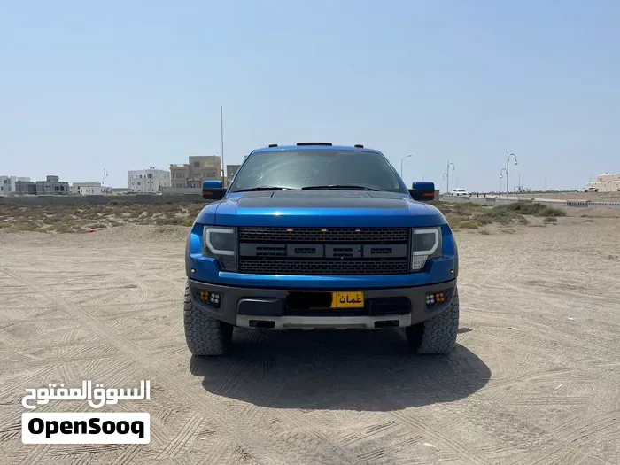 Ford F-150 2011 photo 2