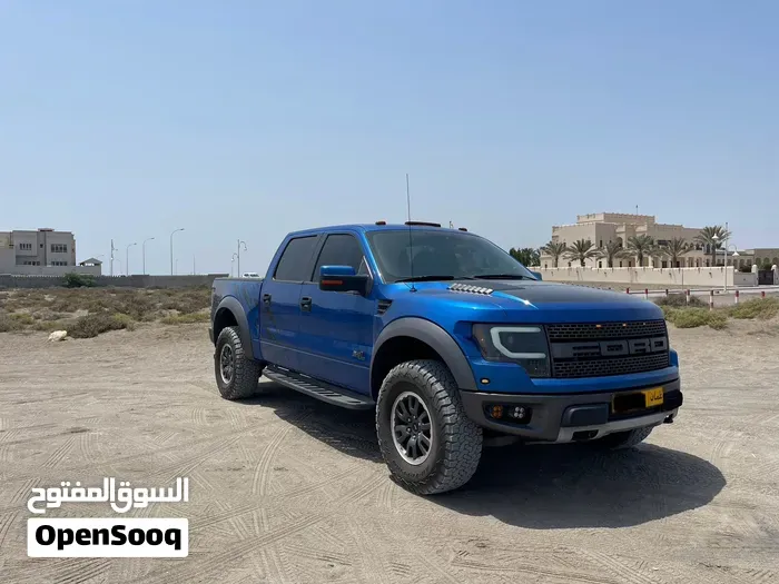 Ford F-150 2011 photo 3