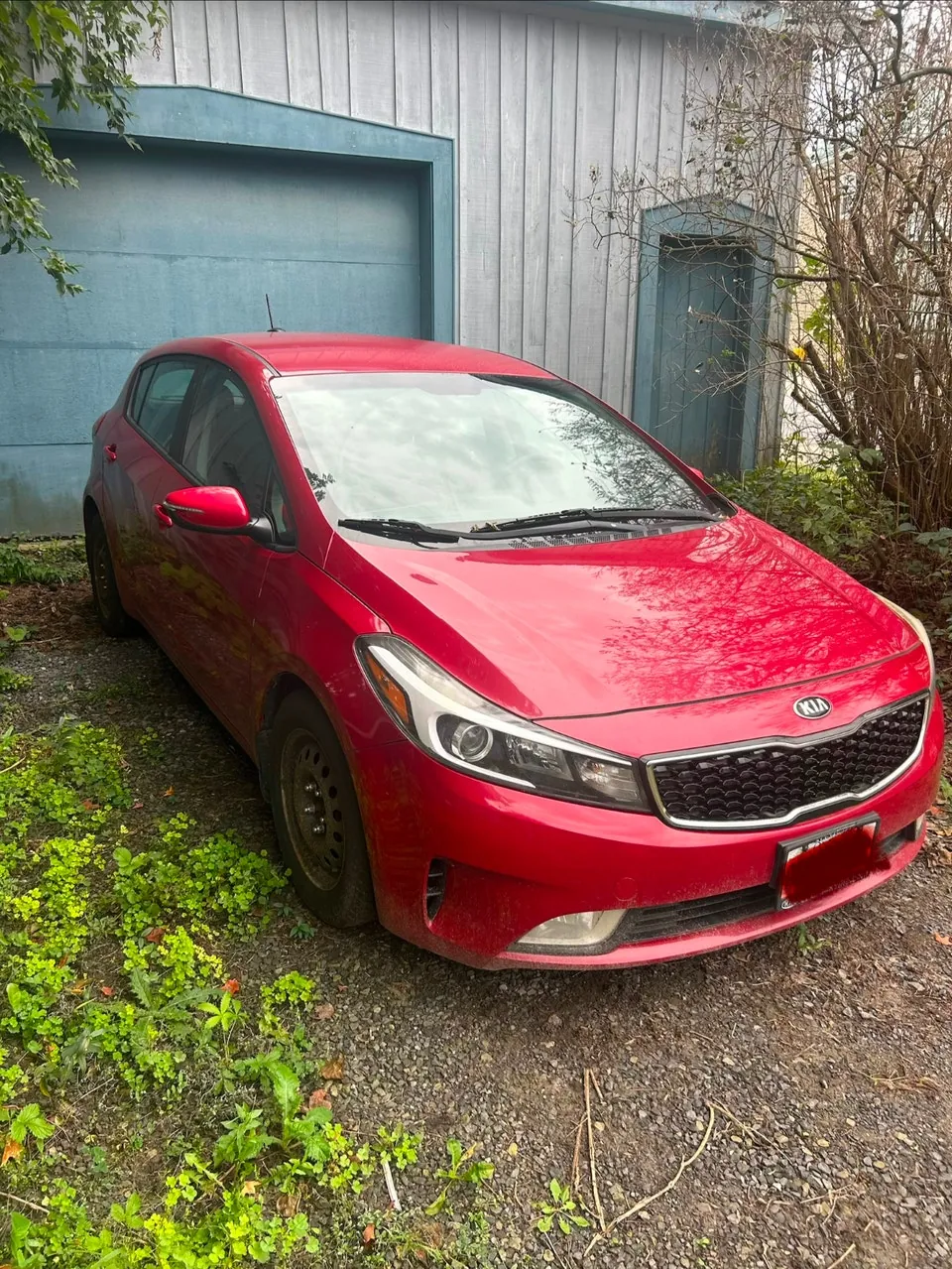 Kia Forte5