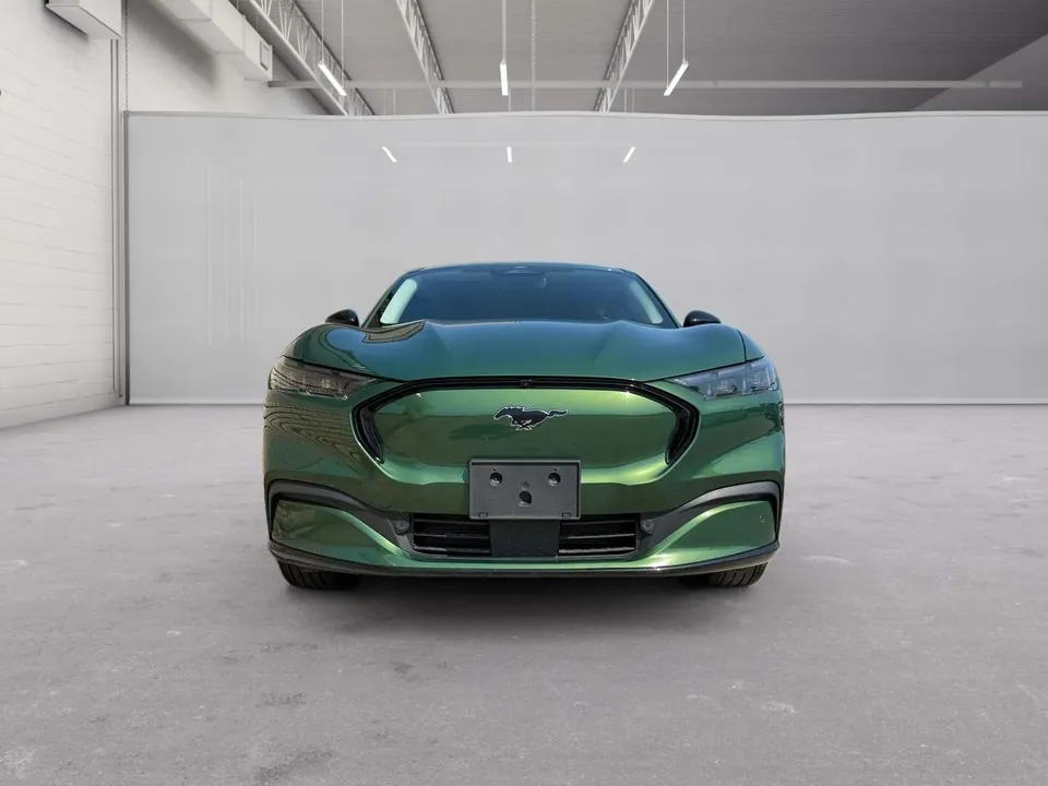 Ford Mustang Mach-E 2024 photo 4