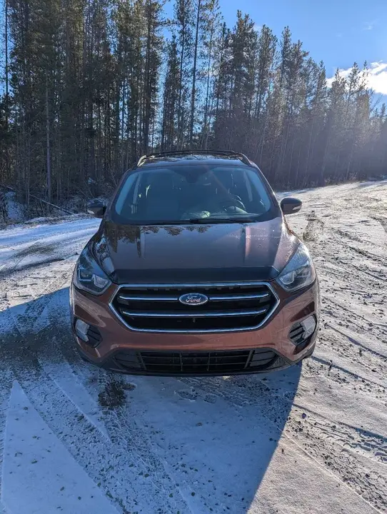Ford Escape 2017 photo 3
