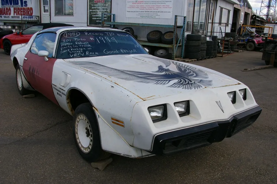 Pontiac Trans Am 1981 photo 3