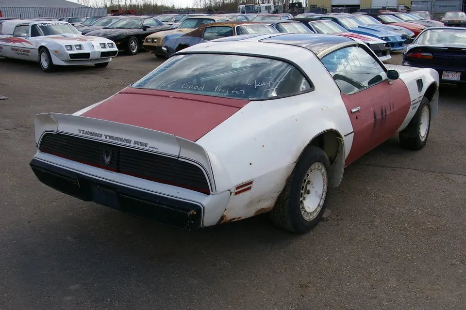 Pontiac Trans Am 1981 photo 5