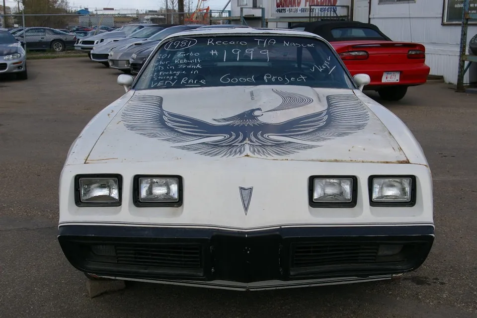 Pontiac Trans Am 1981 photo 2