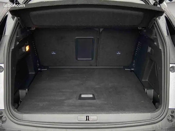 Peugeot 3008 2021 photo 5