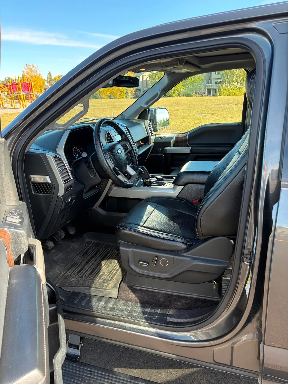 Ford F-150 2016 photo 3