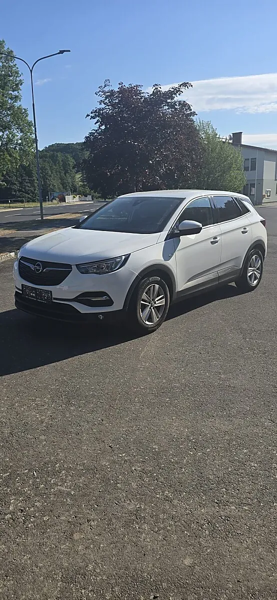 Opel Grandland X 2020 photo 2