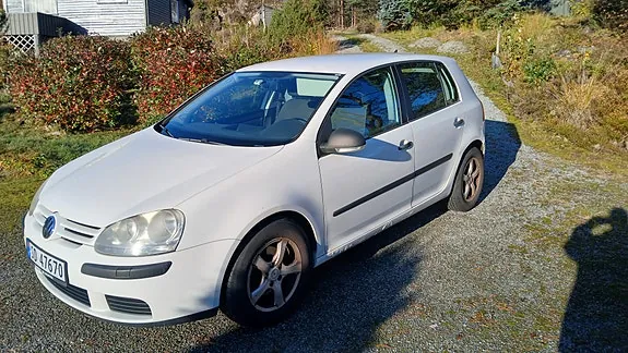 Volkswagen Golf V 2007 photo 3