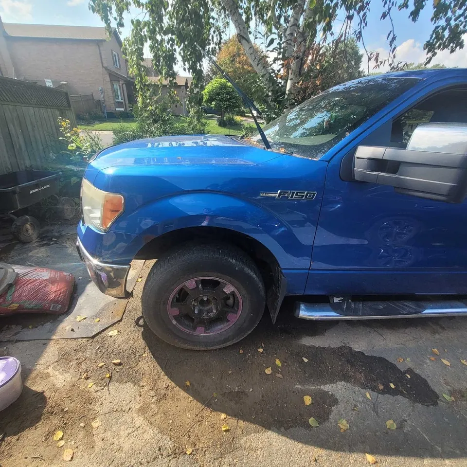 Ford F150 2009 photo 2