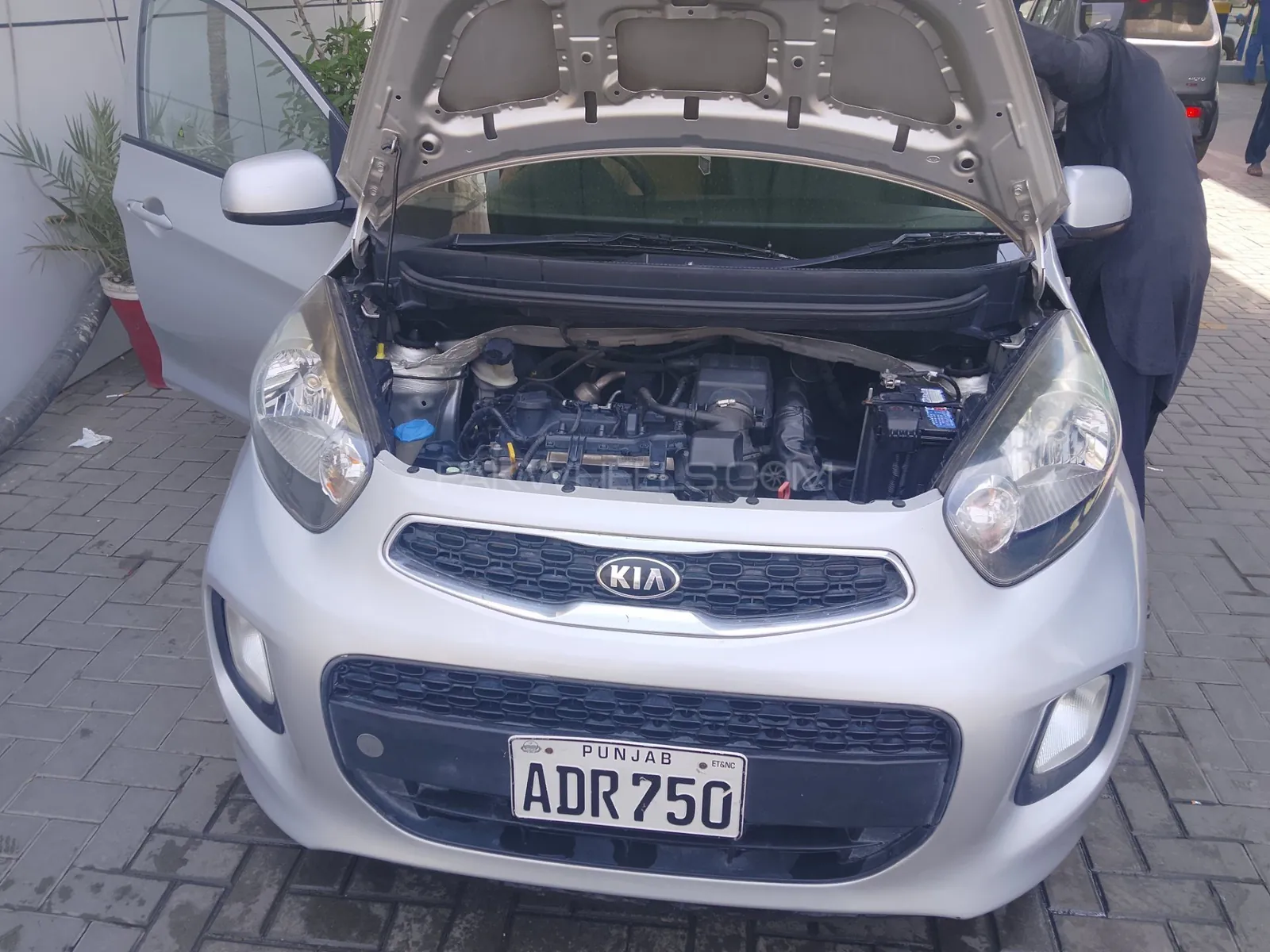 Kia Picanto