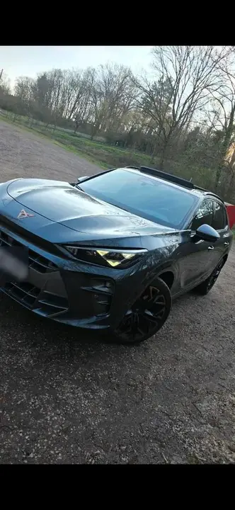 Cupra Terramar