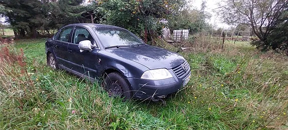 Volkswagen Passat 2002 photo 3
