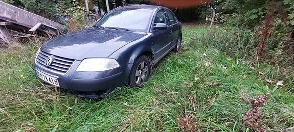 Volkswagen Passat 2002 photo 5