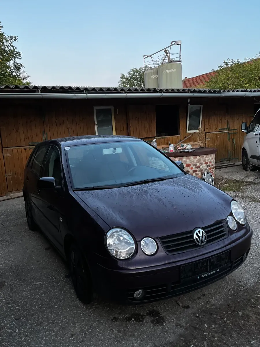 Volkswagen Polo 2003 photo 3