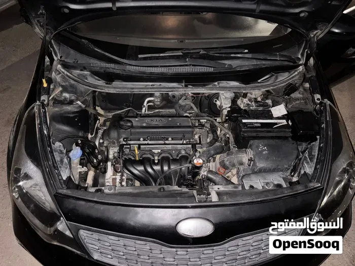 Kia Rio 2014 photo 3