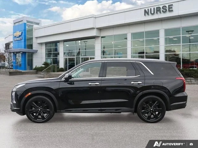 Hyundai Palisade 2023 photo 3