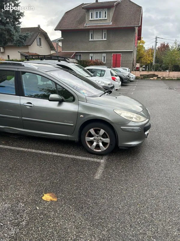Peugeot 307 2007 photo 2