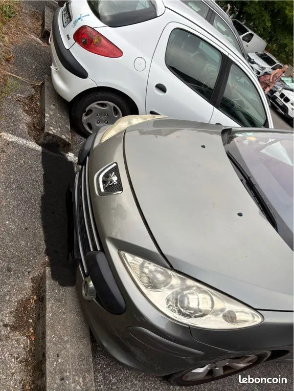 Peugeot 307