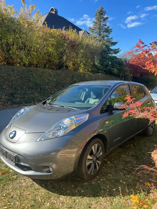 Nissan Leaf 2014 photo 2