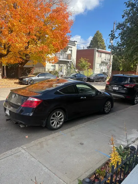 Honda Accord 2010 photo 2