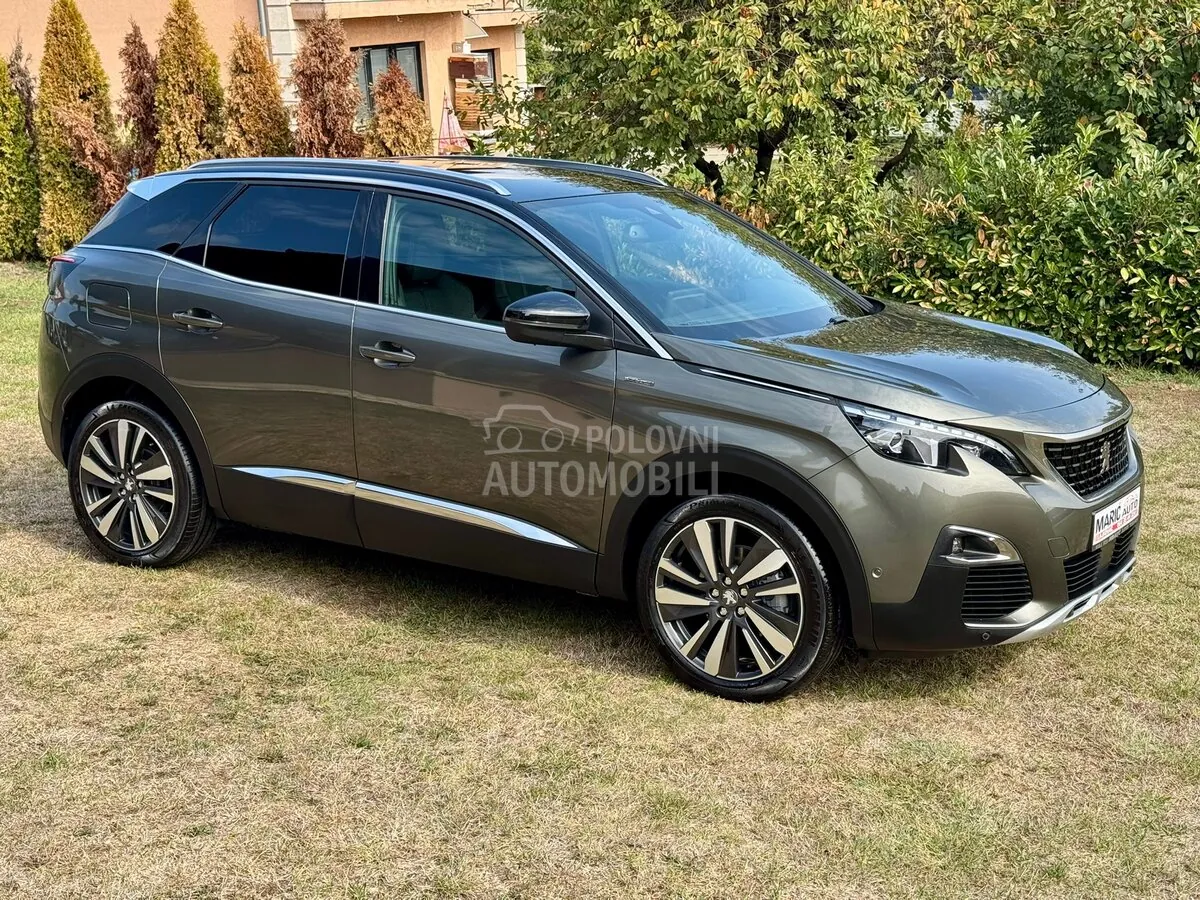 Peugeot 3008 2019 photo 2